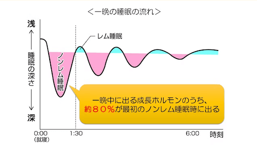 一晩の睡眠の流れ