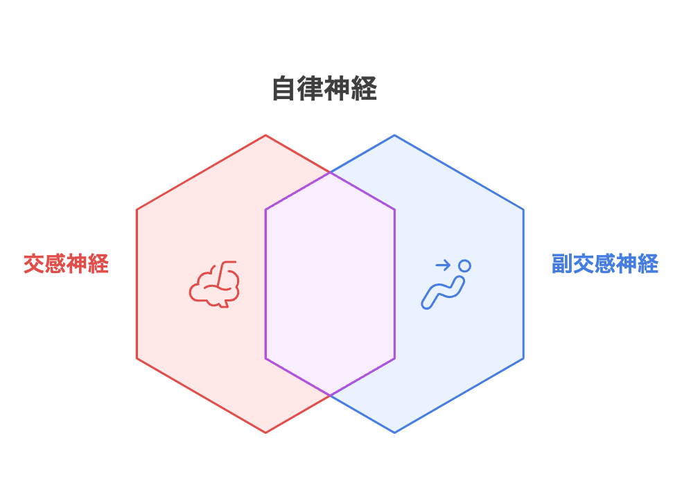 なぜ?大人が夜うなされる5つの原因【考えられる病と対処法】 | ぱにらぼ