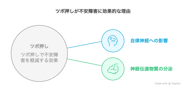 ツボ押しが不安障害に効果的な理由